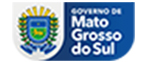 site do Estado de Mato Grosso do Sul