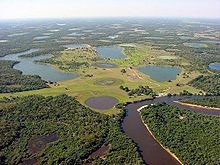 Pantanal - Mato Grosso do Sul